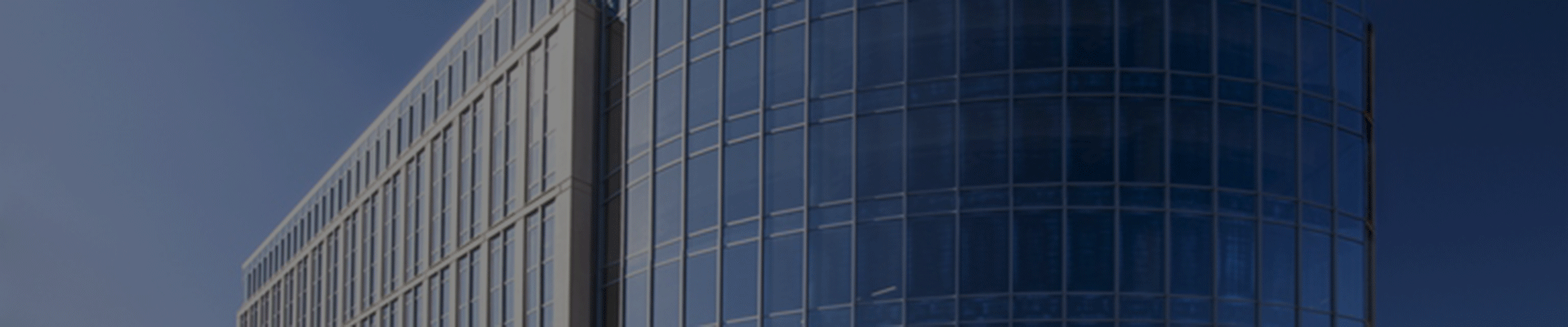top of page decorative header image